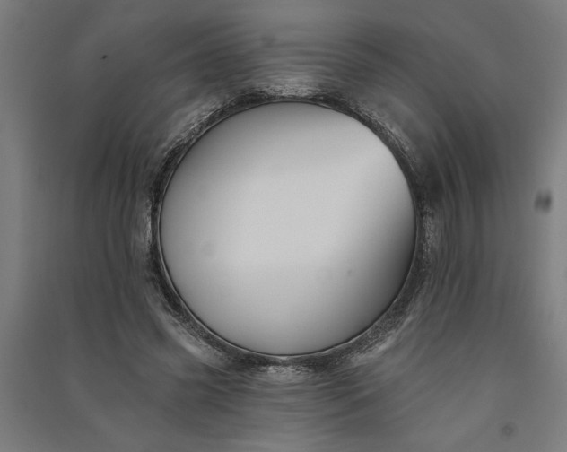 X0000091070541200708201411