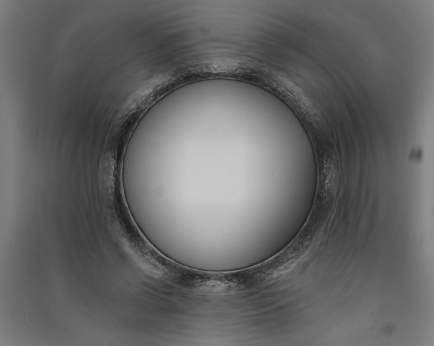 X0000091070542200708201411