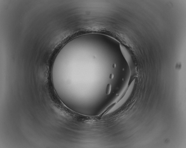 X0000091070544200708201412