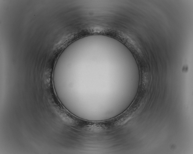 X0000091070545200708201412