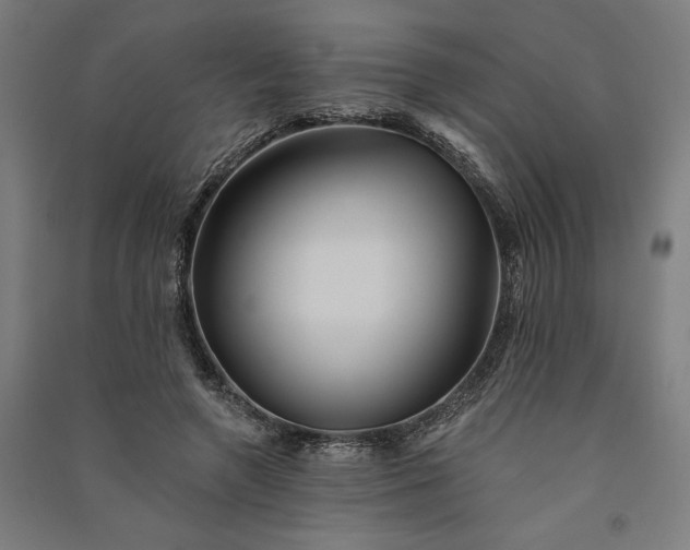 X0000091070546200708201412