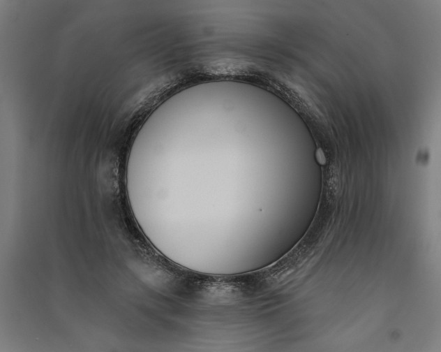 X0000091070547200708201412