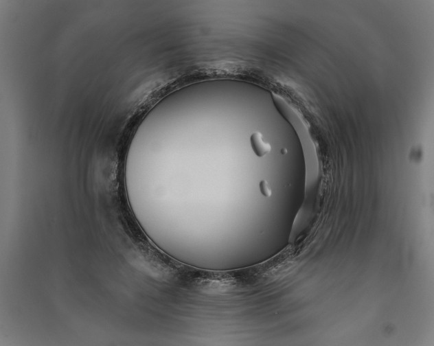 X0000091070548200708201412