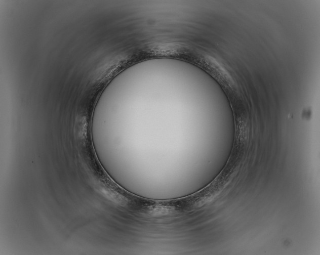 X0000091070549200708201412