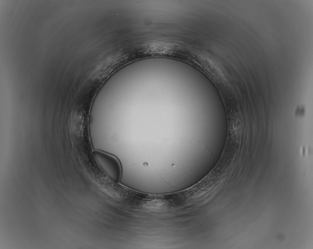 X0000091070551200708201412