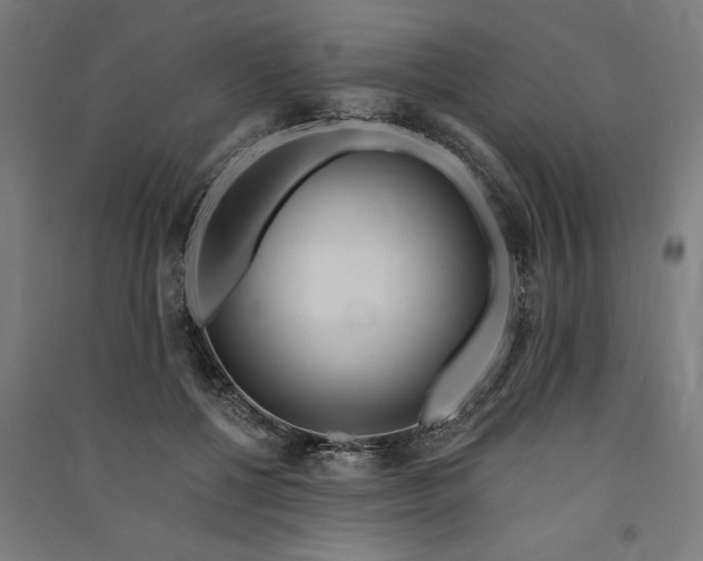 X0000091070552200708201412