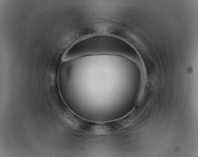 X0000091070556200708201412