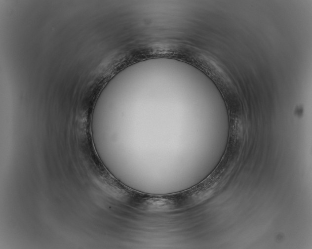 X0000091070557200708201412