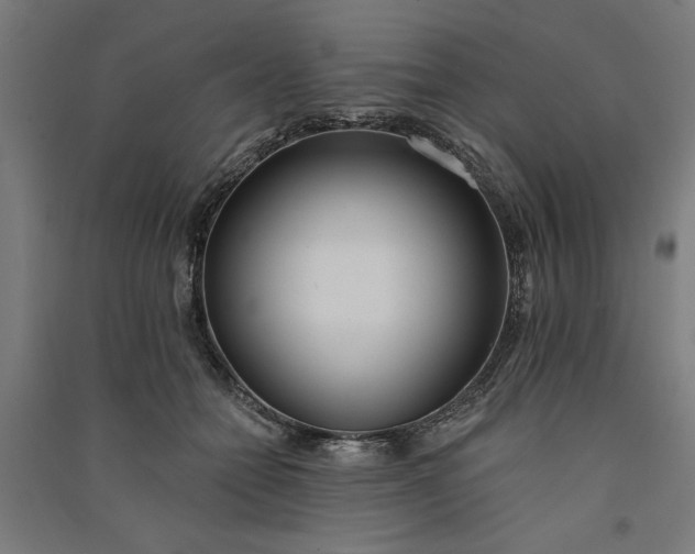 X0000091070558200708201412