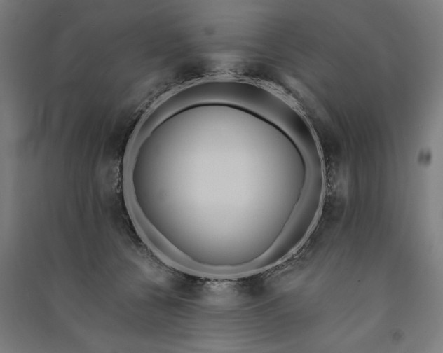 X0000091070560200708201412