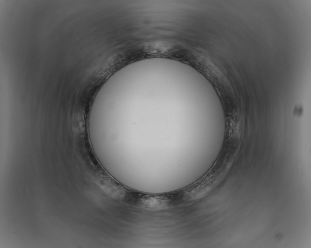 X0000091070561200708201412