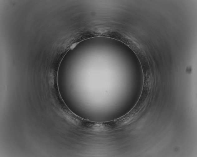 X0000091070562200708201412