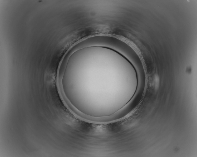 X0000091070564200708201412