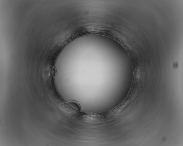 X0000091070567200708201412