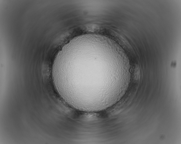 X0000091070569200708201412