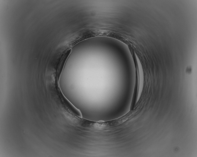 X0000091070570200708201412