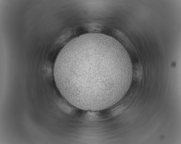 X0000091070573200708201412