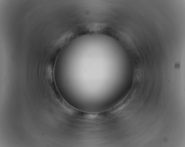 X0000091070575200708201412