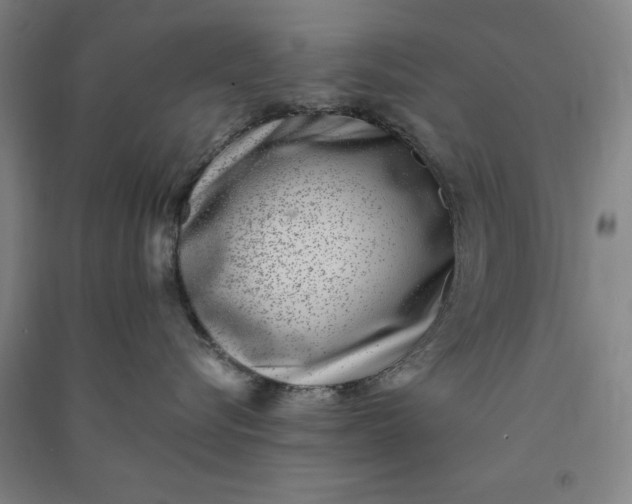 X0000091070576200708201412