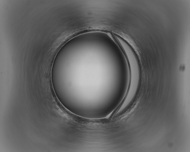 X0000091070577200708201411