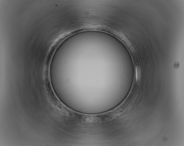 X0000091070579200708201411