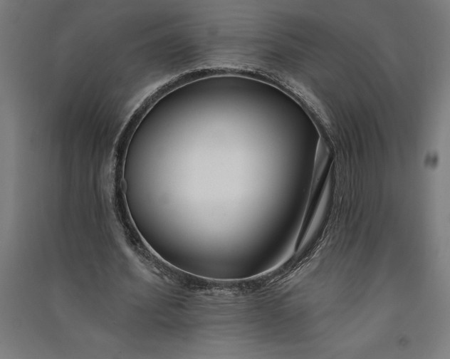 X0000091070580200708201411