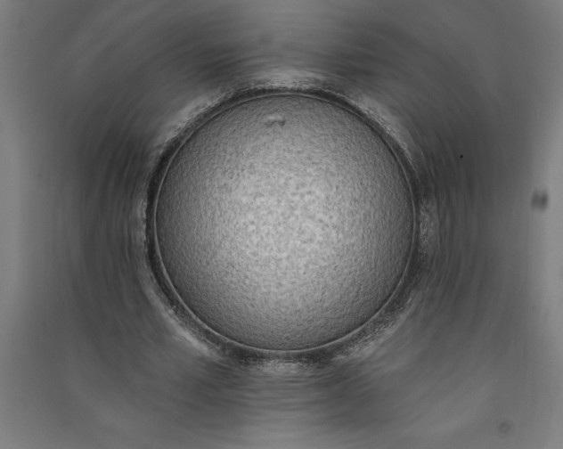 X0000091070581200708201411