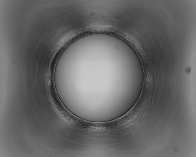 X0000091070582200708201411