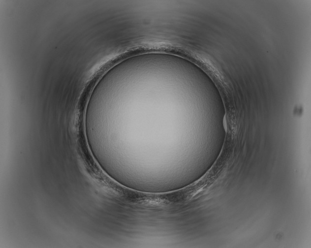 X0000091070583200708201411