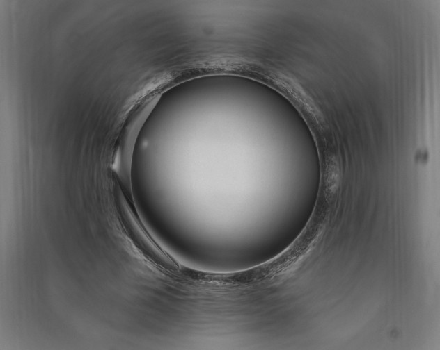 X0000091070585200708201411