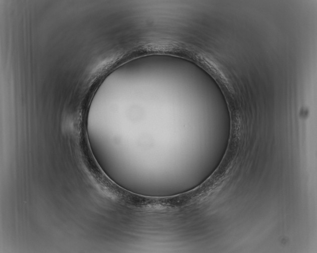 X0000091070586200708201411