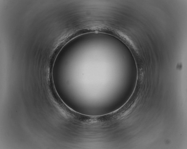 X0000091070589200708201411