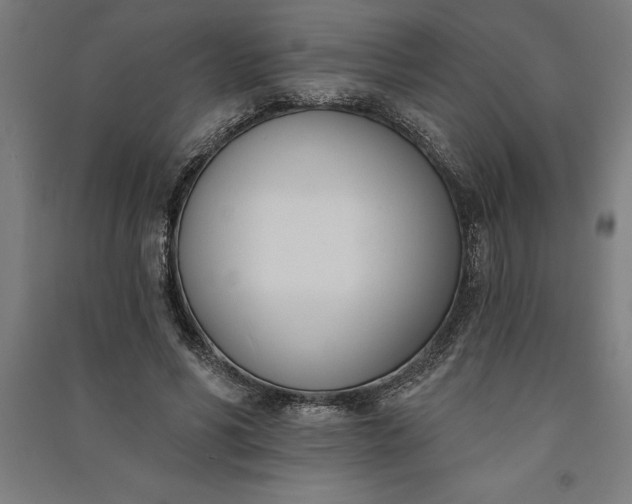 X0000091070590200708201411