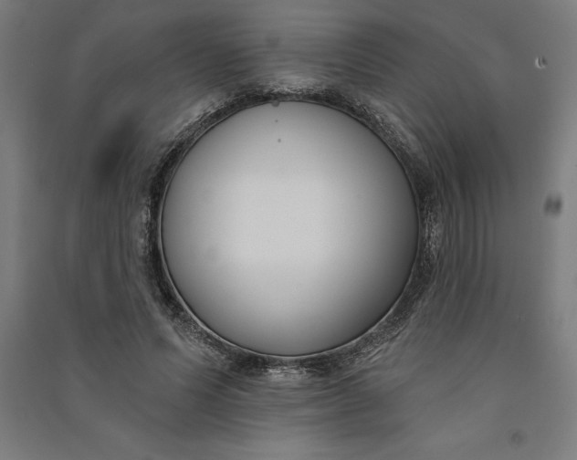 X0000091070591200708201411