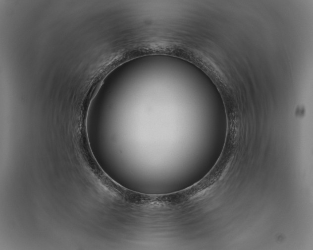 X0000091070593200708201411