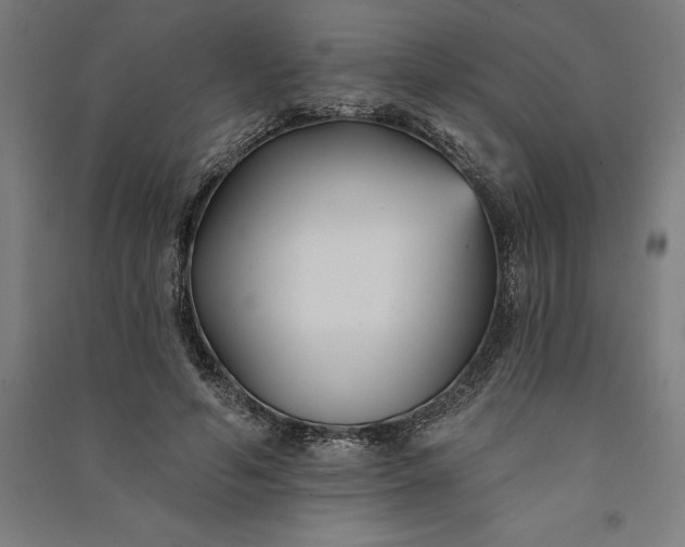 X0000091070594200708201411