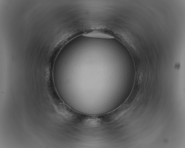 X0000091070595200708201411