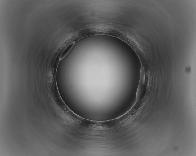 X0000091070597200708201411