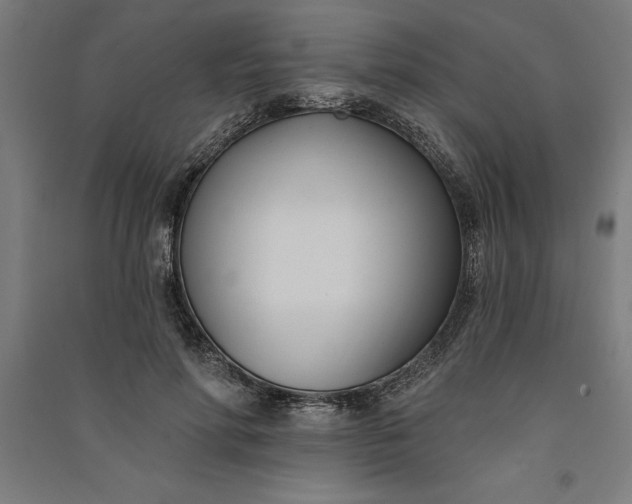 X0000091070598200708201411