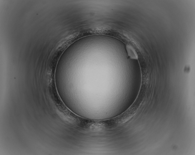 X0000091070599200708201411