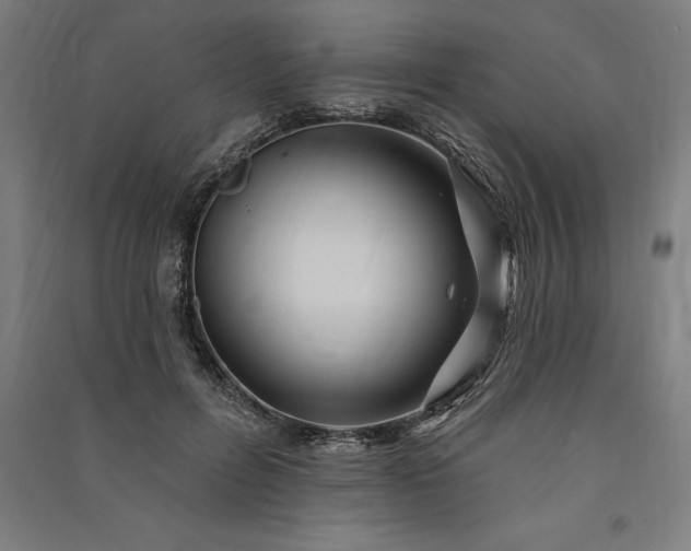 X0000091070600200708201411