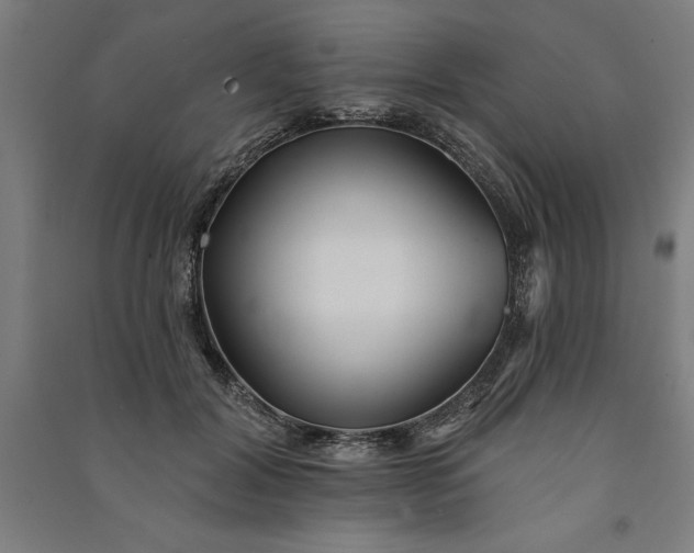 X0000091070604200708201411