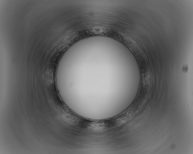 X0000091070606200708201411