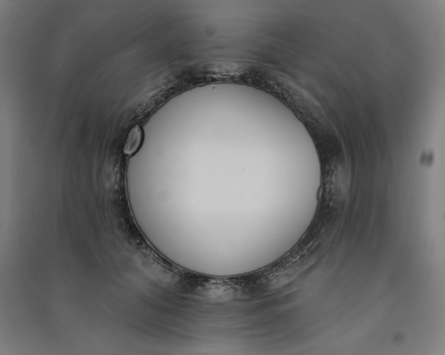 X0000091070608200708201411