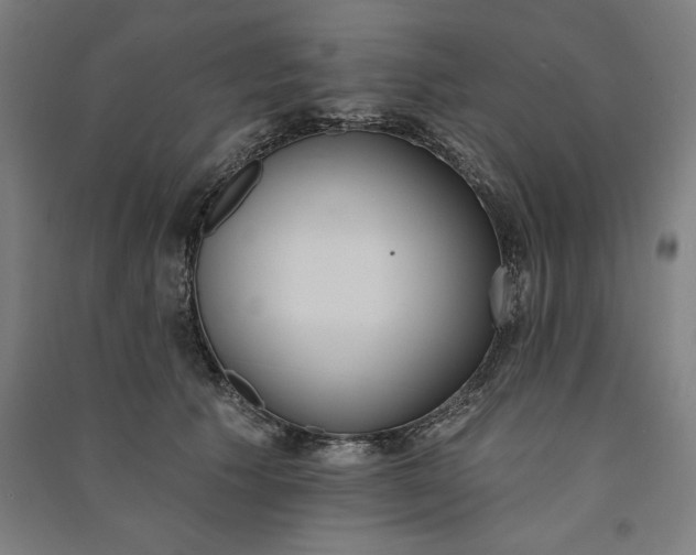 X0000091070609200708201411