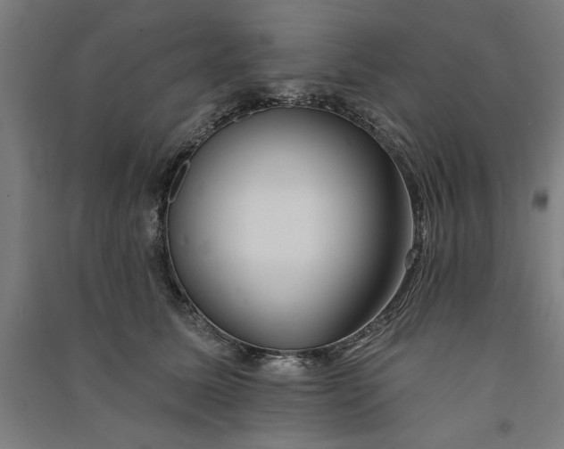 X0000091070611200708201411