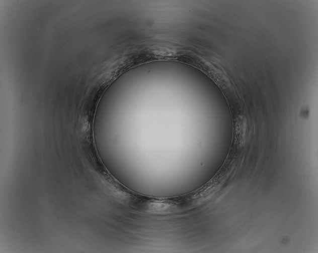 X0000091070614200708201411