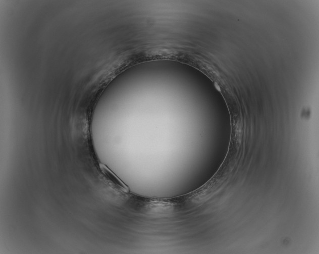 X0000091070617200708201411