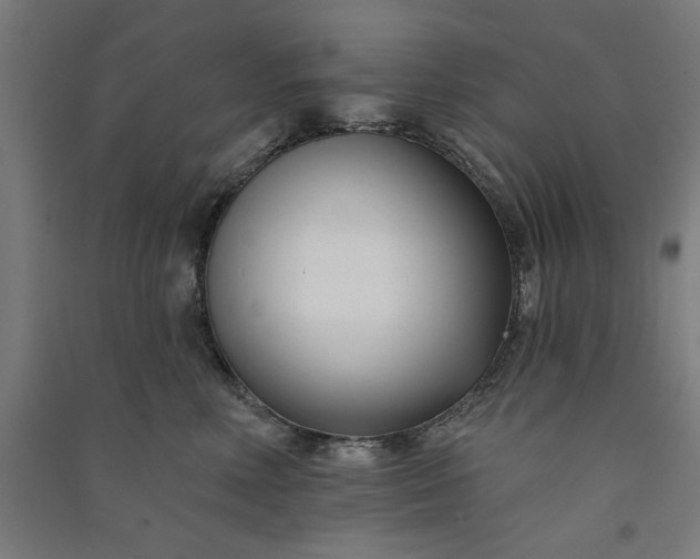 X0000091070618200708201411