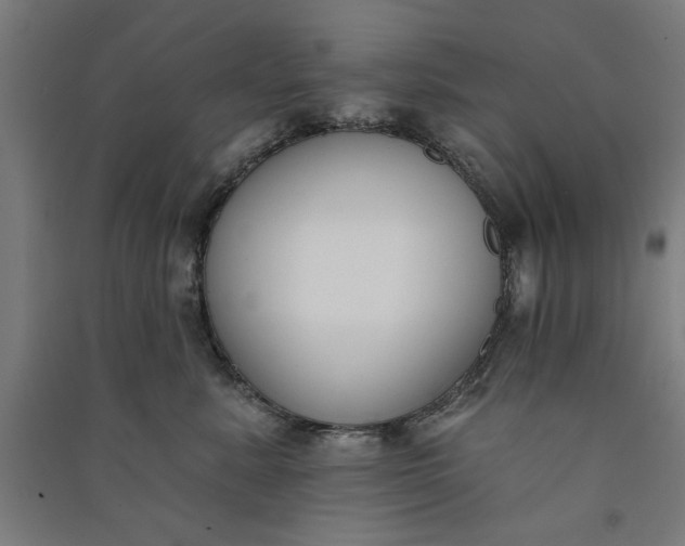 X0000091070619200708201411